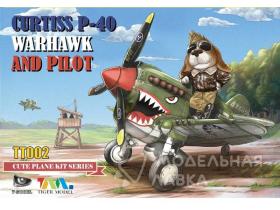 Curtiss P-40 Warhawk Fighter And Pilot