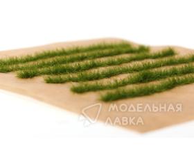 Полосы травы для макета. Летняя трава.