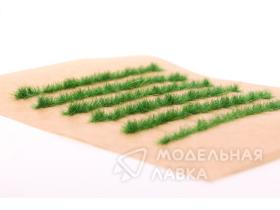 Полосы травы для макета. Яркая трава.