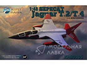 Самолет SEPECAT Jaguar T.2/T.4