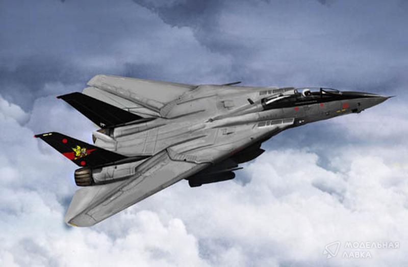 Фото #9 для Сборная модель F-14B Tomcat