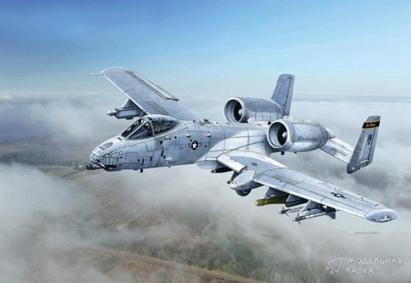 Фото #9 для Сборная модель самолет A-10C "Blacksnakes"
