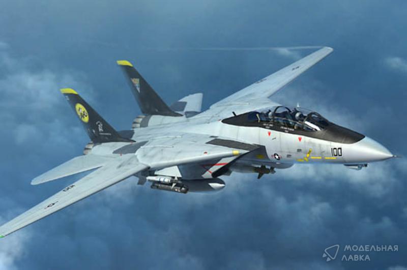 Фото #7 для Сборная модель самолет F-14D Tomcat