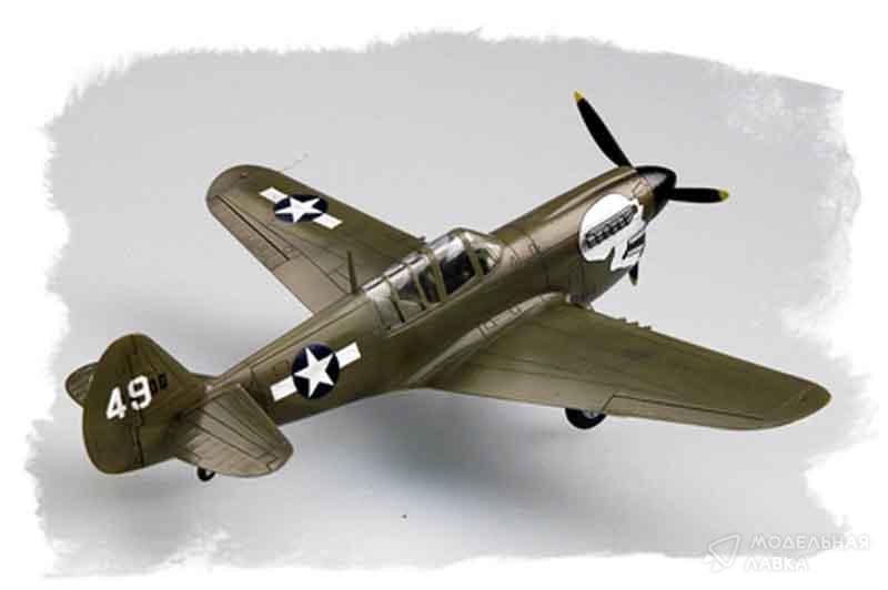 Фото #3 для Сборная модель самолет P-40N "Warhawk"