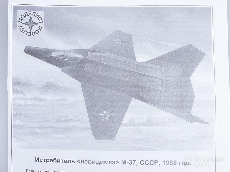 Фото #6 для Сборная модель советский "Самолет-невидимка" М-37 с клеем, кисточкой и красками.