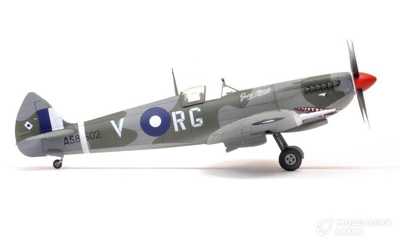 Фото #3 для Сборная модель Spitfire Mk.VIII ProfiPACK