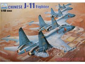Chinese J-11 fighter