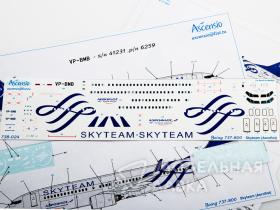 Декаль для самолета Boeing 737-800 SkyTeam (Аэрофлот Российские Авиалинии)