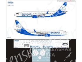 Декаль на самолет Boeing 737-800 Belavia new