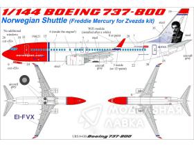 Декали для Boeing 737-800 Norwegian Shuttle EL-FVX (Freddie Mercury) with stencils