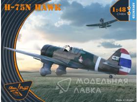 H-75N Hawk (4x camo, 1940-1944)