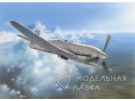 Heinkel He 100D "Soviet and Japanese Test Plane"
