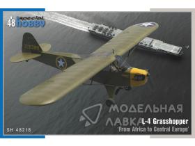 L-4 Grasshopper ‘From Africa to Central Europe’