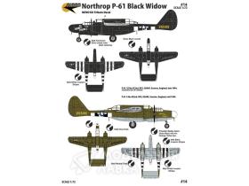 Nothrop P-61 Black Widow. USAF, 2 Markings