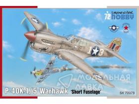 P-40K-1/5 Warhawk 'Short Tail'