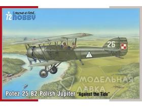 Potez 25 B2 Polish Jupiter ‘Against the Tide’