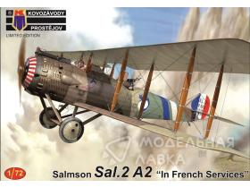 Salmson Sal.2A2 "In French Services"
