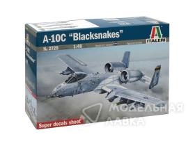 Самолет A-10C "Blacksnakes"