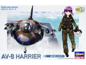 Самолет AV-8 Harrier Eggplane series