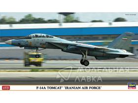 Самолет F-14A TOMCAT "IRANIAN AIR FORCE"