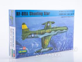 Самолет F-80A Shooting Star fighter