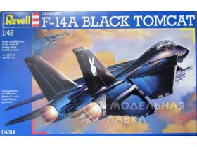 Самолет Grumman F-14 Black Tomcat