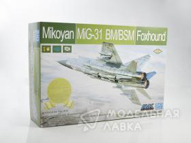 Самолет Mikoyan MiGG-31 BM/BSM Foxhound