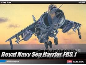 Самолет Royal Navy Sea Harrier FRS.1