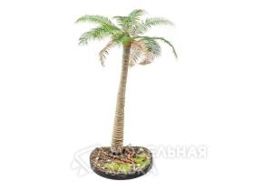 Ствол кокосовой пальмы, размер S