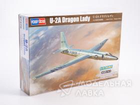 U-2A Dragon Lady