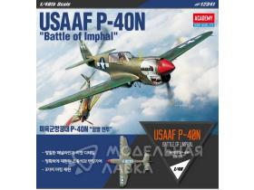 USAAF P-40N "Battle of Imphal"