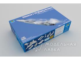 Внимание! Модель уценена! Сборная модель самолета Chinese J-20 Mighty Dragon