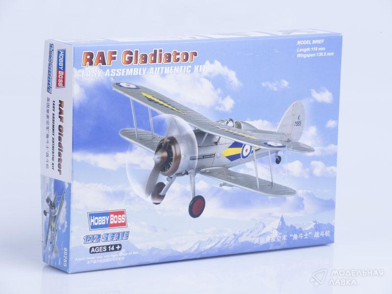 Фото #1 для Сборная модель самолет RAF Gladiator