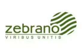 Zebrano