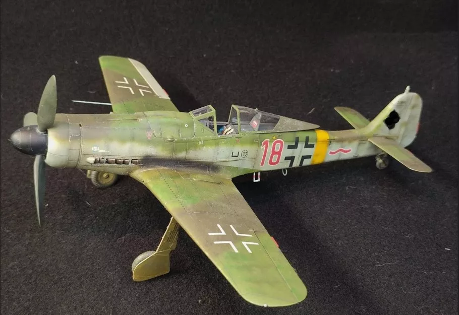 German IIWW Fighter Focke-Wulf Fw190D-9 (6 marking options)